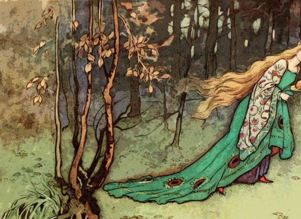 First Amendment Protections