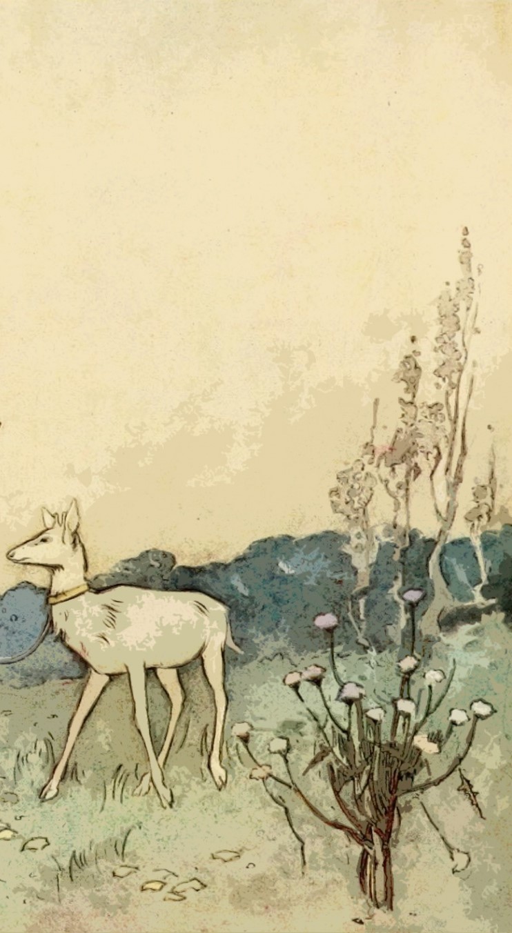 Freedom of Expression..